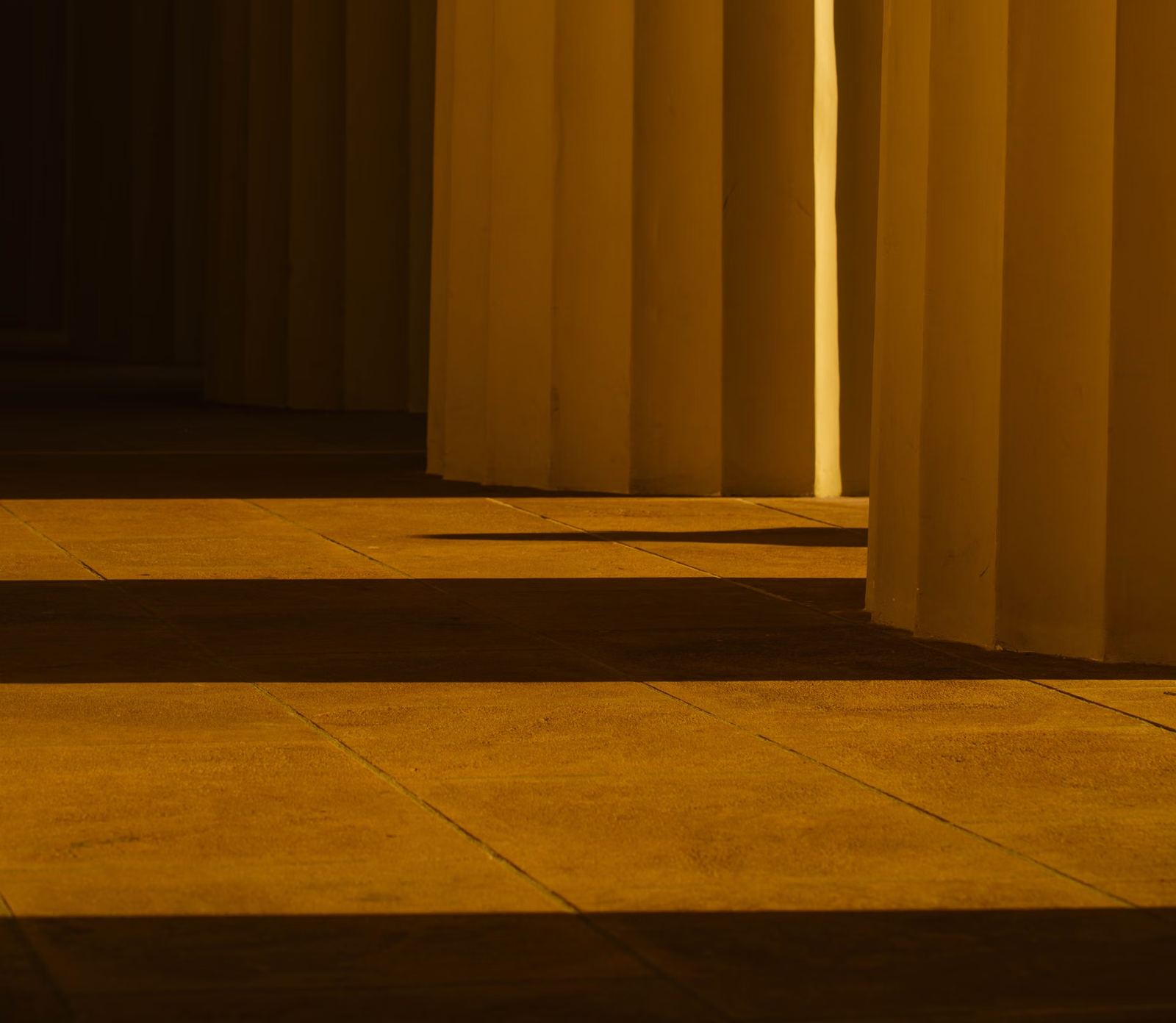 Golden sunset light through curved station glass